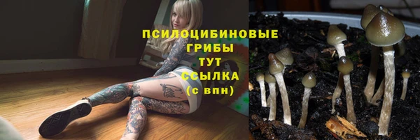 ECSTASY Верхнеуральск