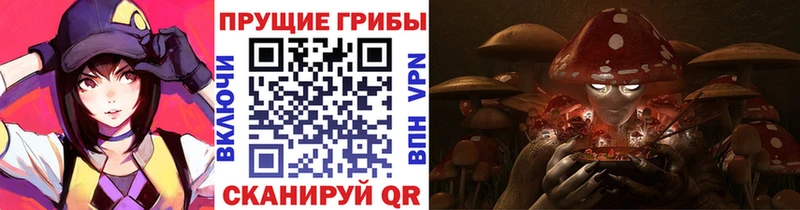 Купить закладки  Кунгур  Псилоцибиновые грибы Magic Shrooms 